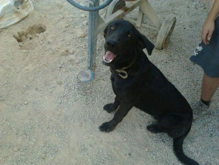ATHOS.